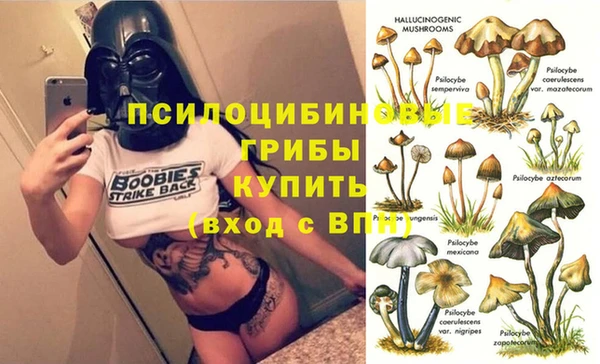 дмт Архангельск