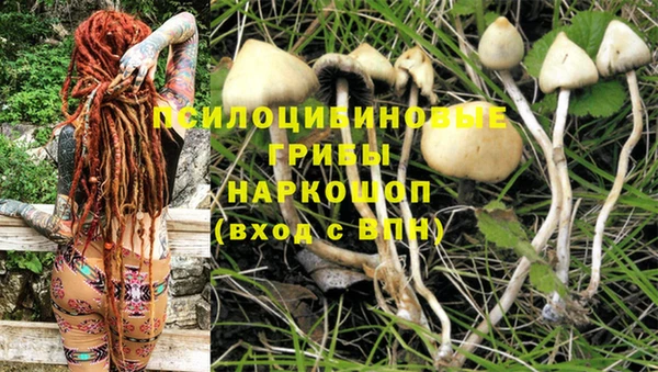 марки nbome Нижний Тагил