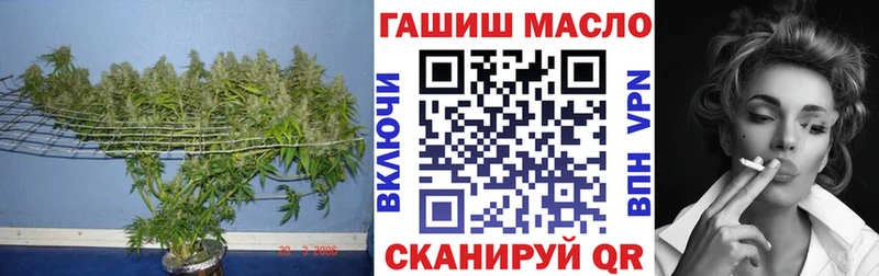 Купить закладки  Пучеж  ТГК вейп с тгк 