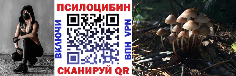 Купить где  Пучеж  Псилоцибиновые грибы MAGIC MUSHROOMS 