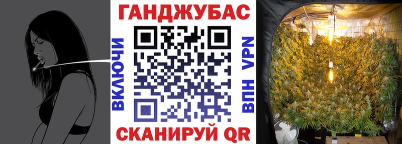 Шишки марихуана конопля  Купить где  Пучеж 